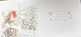 Box Of 10 Christmas Cards - Robin