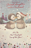 Granddaughter & Husband Christmas - Cute Penguins