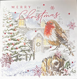 Box Of 10 Christmas Cards - Robin