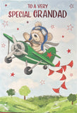 Grandad Birthday - Cute Aeroplane