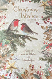 Open Christmas - Robins On Branch