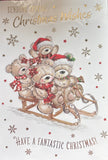 Open Christmas - Cute Bear On Sledge