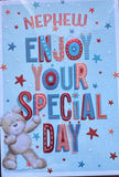 Nephew Birthday-Cute Special Day