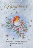 Neighbour Christmas - Traditional Robin