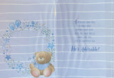 Baby Boy - Teddy