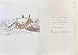 Neighbour Christmas - Traditional House Scene Special