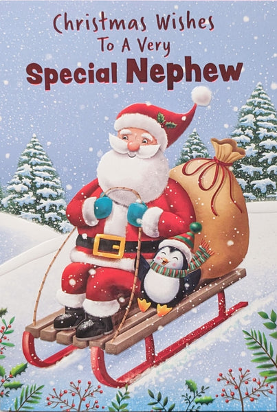 Nephew Christmas - Santa & Penguin On Sledge