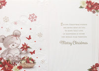 Nan Christmas - Cute Flower Basket Sitting