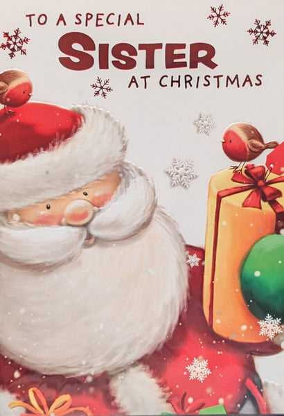 Sister Christmas - Santa With Robins & Gift