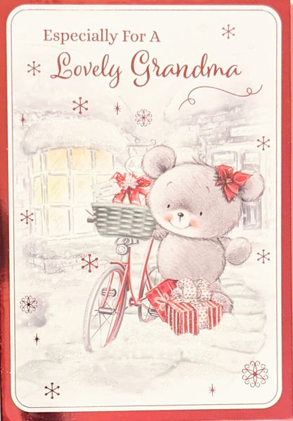 Grandma Christmas - Cute Bike & Gift Box