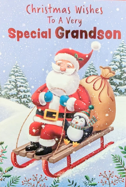 Grandson Christmas - Santa & Penguin