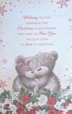 Sister & Brother In Law Christmas - Large 8 Page Cute