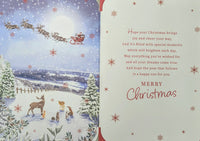 To All The Family Christmas - Large Traditional Deer