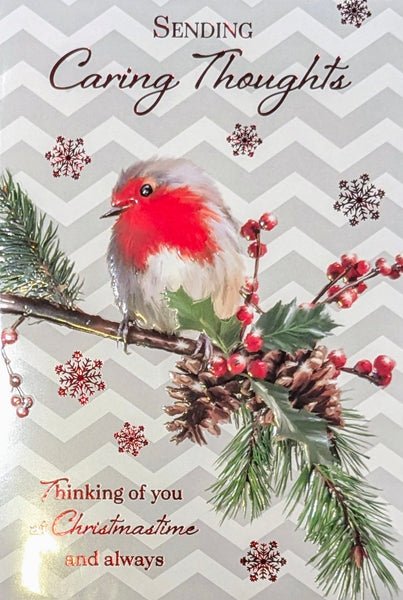 Caring Thoughts At Christmas - Traditional Robin On Branch