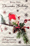 December Birthday Card - Robin On Branch