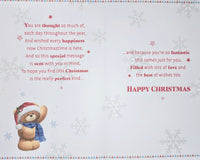 Grandson Christmas - Large 8 page Cute