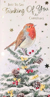 Thinking Of You Christmas - Slim Traditional Robin