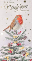 Neighbour Christmas - Slim Robin