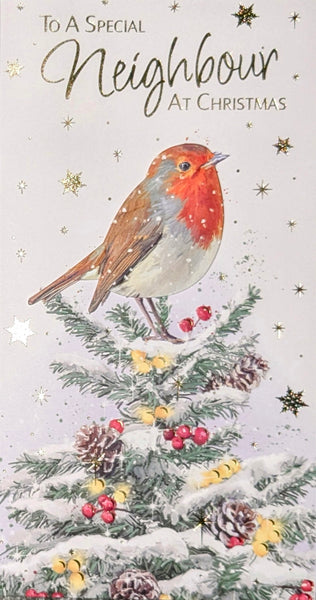 Neighbour Christmas - Slim Robin