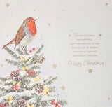 Neighbour Christmas - Slim Robin