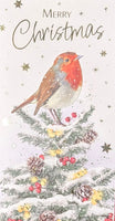 Open Christmas - Slim Robin On Tree