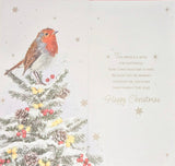 Open Christmas - Slim Robin On Tree