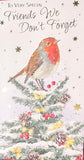 Friends We Don't Forget Christmas - Slim Traditional Robin