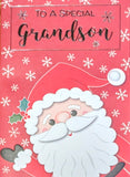 Grandson Christmas - Santa