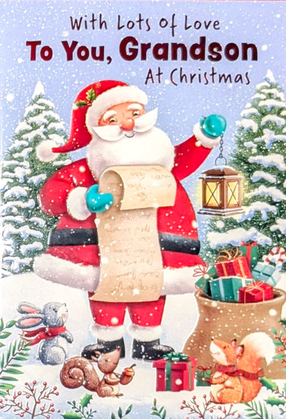 Grandson Christmas - Santa With List