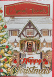 Friends Christmas - Traditional House