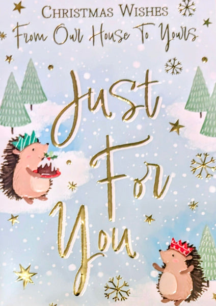 Our House To Yours Christmas - Cute Hedgehogs Just For You