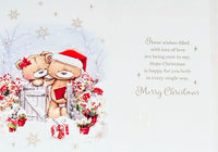 Daughter & Son In Law Christmas - Cute Bears At Gate