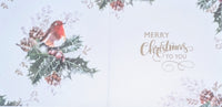 Box Of 10 Christmas Cards - Robin