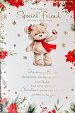 Friend Christmas - Cute Robin Words