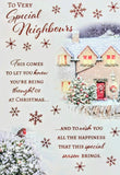 Neighbours Christmas - Traditional House & Robin Special