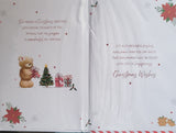 Friend Christmas - Large Cute Bear With Gift