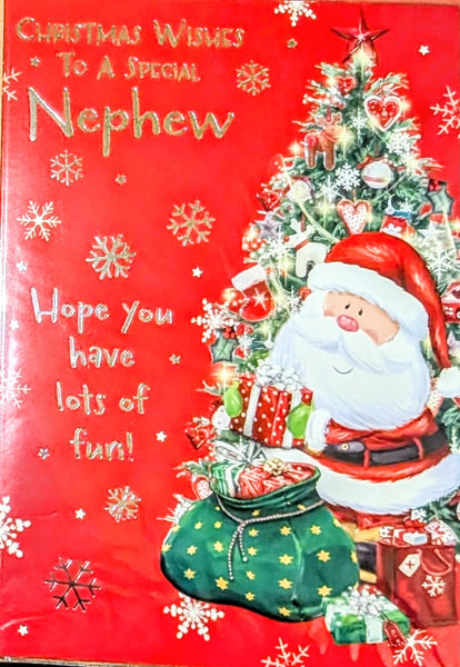 Nephew Christmas - Santa & Tree