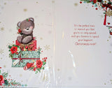 Cousin Christmas- Cute Bear On Gift Boxes
