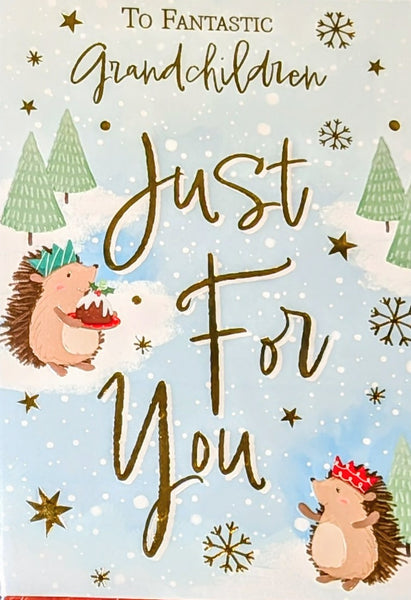 Grandchildren Christmas - Cute Hedgehogs Just For You