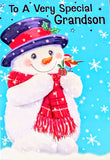 Grandson Christmas - Snowman & Robin