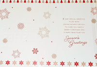 Nephew Christmas - Traditional Red Wishes