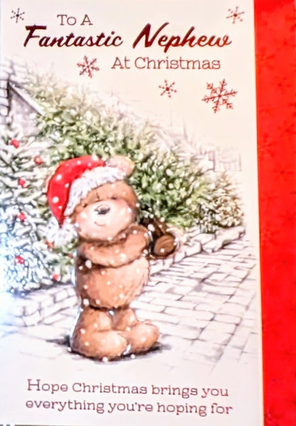 Nephew Christmas - Cute Bear Carrying Tree