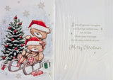Sister & Brother In Law Christmas - Cute Bears On Sledge