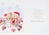 Special Couple Christmas - Cute Bears At Gate