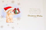 Across The Miles Christmas - Cute Bear With Green Gift