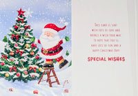 Brother Christmas - Santa & Tree