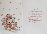 To All The Family Christmas - Cute sled