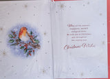 Friends Christmas - Traditional Robin