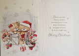 To All The Family Christmas - Cute Gate