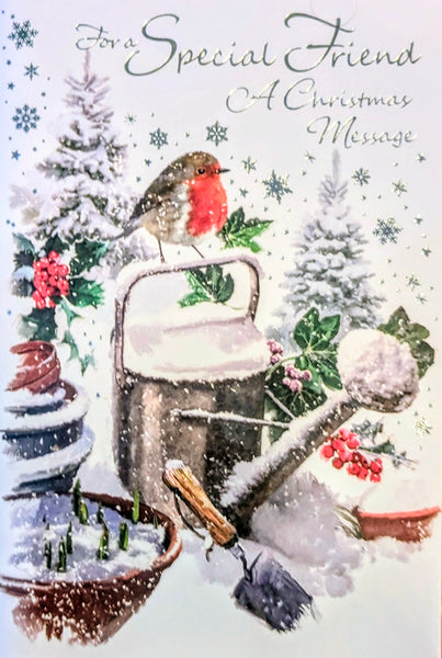 Friend Christmas - Robin On Watering Can